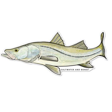 Snook Decal