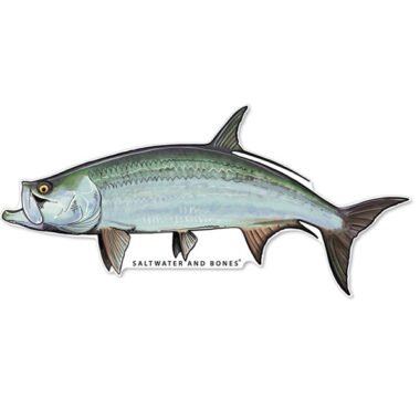 Tarpon Decal